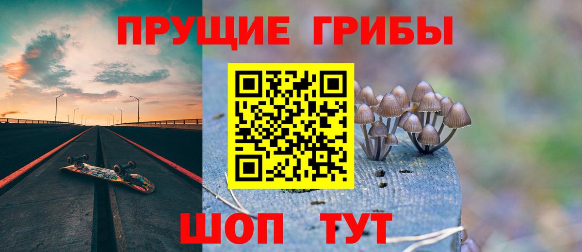 Галлюциногенные грибы Magic Shrooms  Вход с VPN  Королёв 