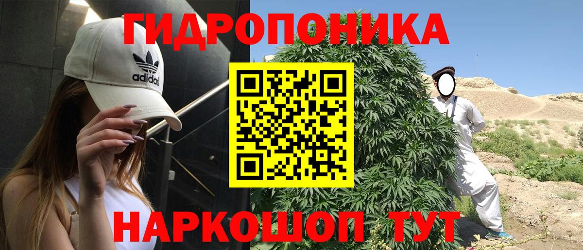 Каннабис гибрид Королёв